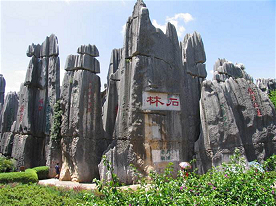 Stone Forest